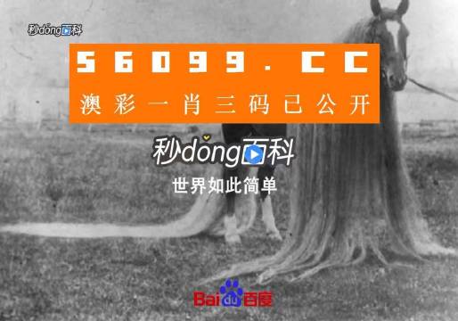澳門必中一一肖一碼服務內容——揭示背后的風險與挑戰(zhàn)