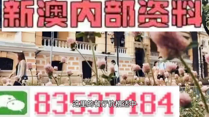新澳門(mén)資料大全免費(fèi)——揭開(kāi)犯罪的面紗