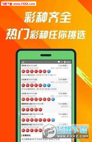 王中王493333中特1肖，探尋神秘數(shù)字背后的故事