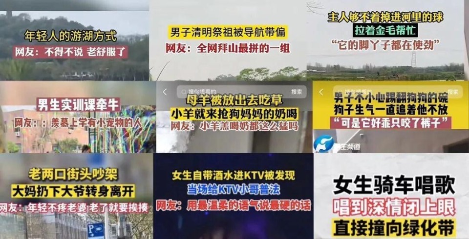 新澳門免費(fèi)資料大全在線查看，探索與啟示