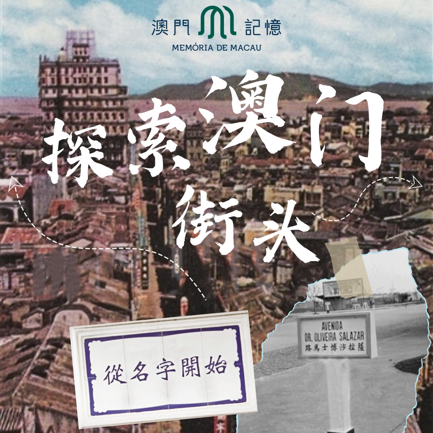 新澳門天天資料，探索與解讀