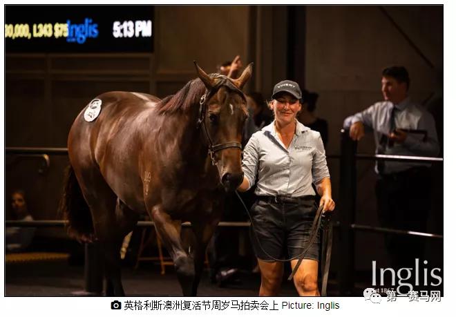 新澳今晚的馬仙傳與特馬揭曉之謎