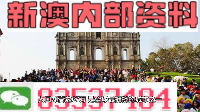 新澳精準資料免費提供，探索第265期的奧秘與價值