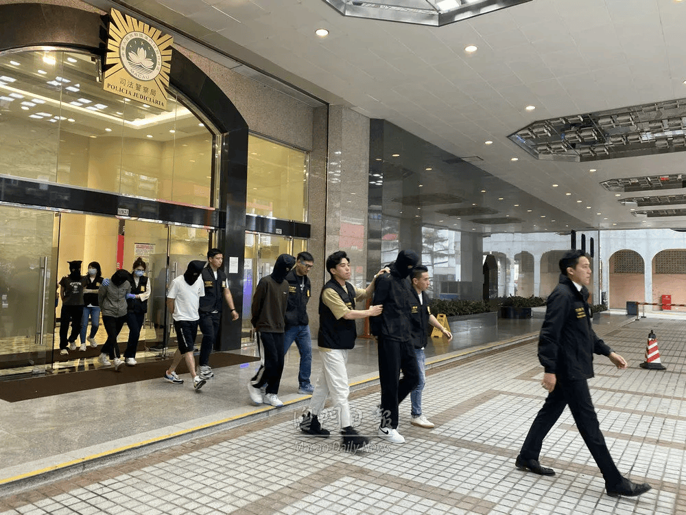 澳門天天好好兔費資料，一個關于違法犯罪問題的探討