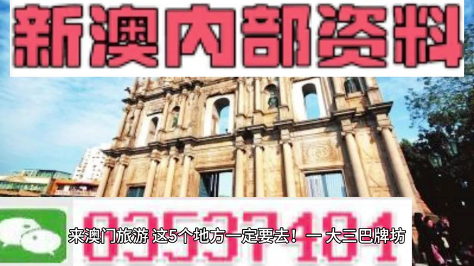 新澳門最精準(zhǔn)正最精準(zhǔn)龍門，探索與解析