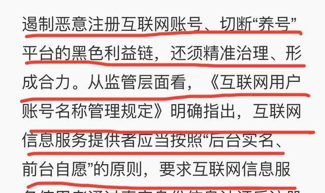 澳門(mén)三肖三碼精準(zhǔn)100%黃大仙，揭示背后的違法犯罪問(wèn)題