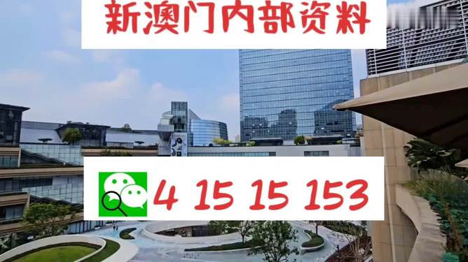 新澳門特免費(fèi)資料大全管家婆，探索澳門的新面貌與實(shí)用資訊