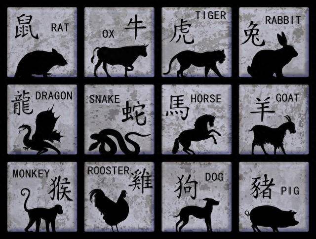 一肖一碼一中一特，探索幸運(yùn)與命運(yùn)的神秘面紗