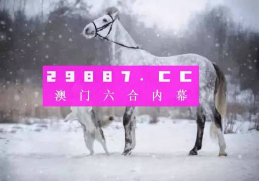 澳門一肖一碼，揭秘精準預測的真相與警示