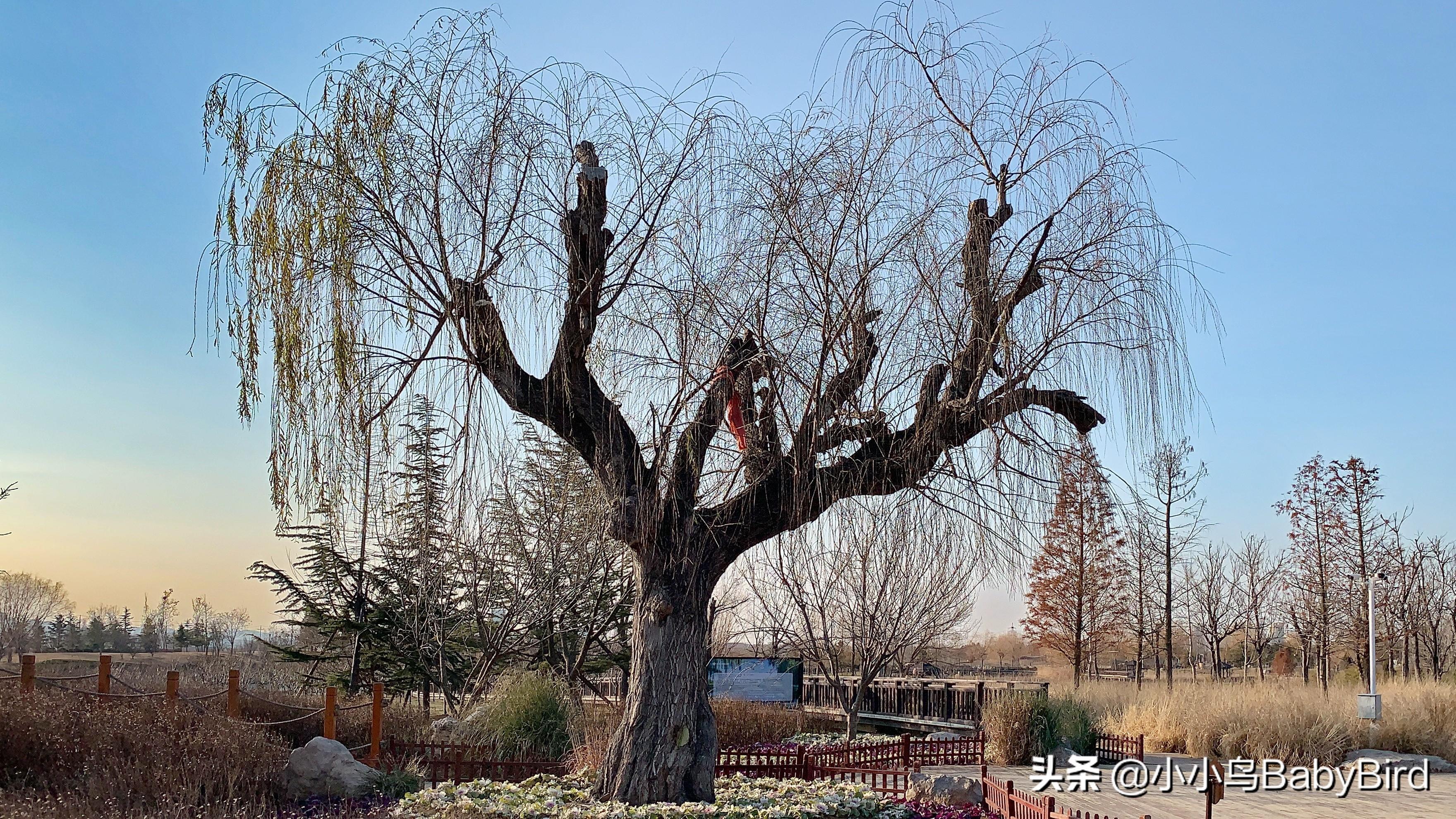 威海羊亭最新規(guī)劃，塑造未來城市新面貌