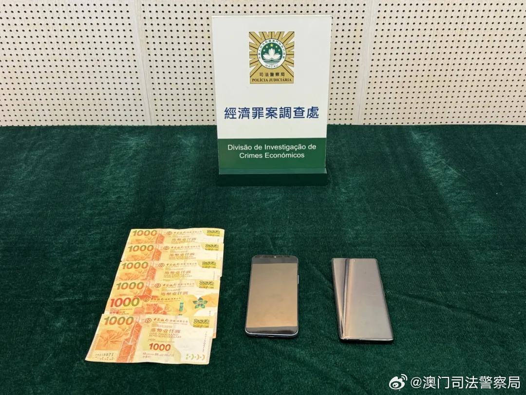 澳門王中王100%的資料——警惕犯罪風(fēng)險，切勿參與非法賭博活動（2024年）
