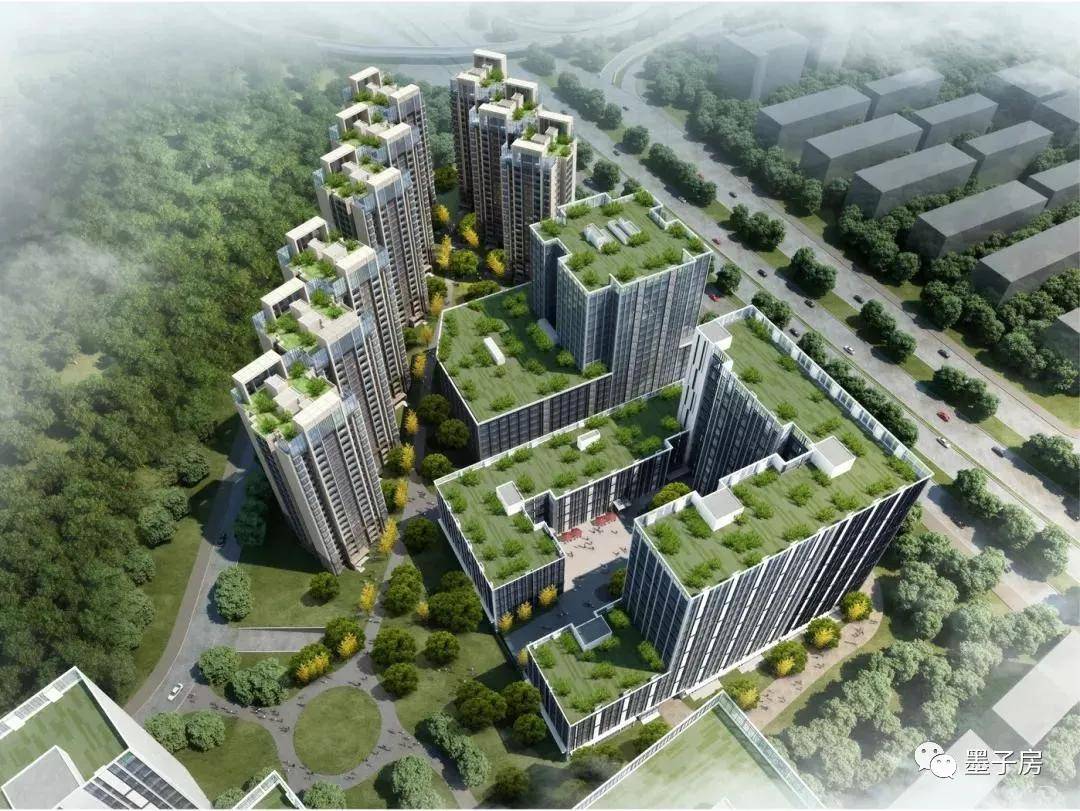 揭秘2024新澳天天免費(fèi)資料，探索背后的秘密與真相