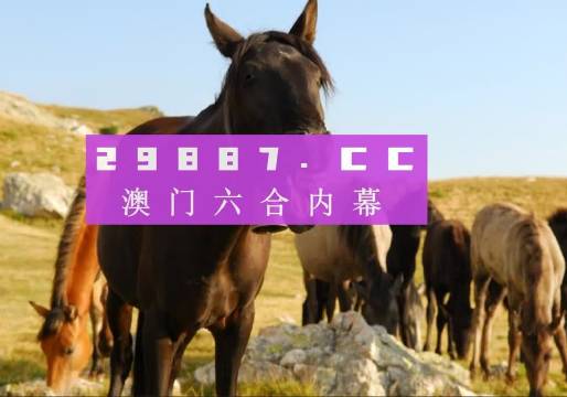 澳門管家婆一肖一碼一中一，探索與解析