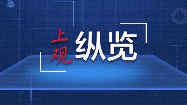 揭秘管家婆一碼一肖，精準(zhǔn)預(yù)測(cè)的神秘面紗