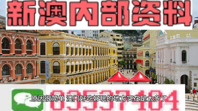 澳門最準的資料免費公開，探索真實與信息的交匯點