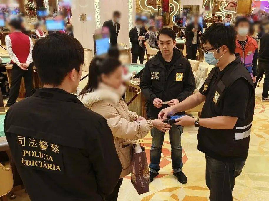 新2024年澳門天天開好彩背后的違法犯罪問題探討