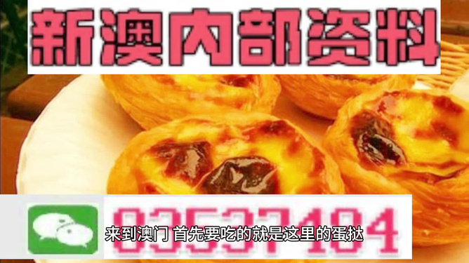關(guān)于2024新澳正版免費(fèi)資料大全的探討——警惕違法犯罪風(fēng)險(xiǎn)