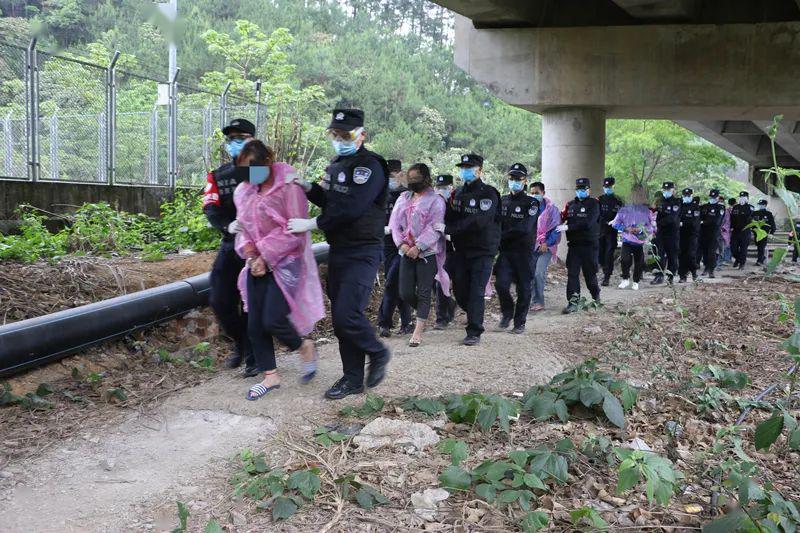 關于澳門彩票走勢圖與違法犯罪的思考