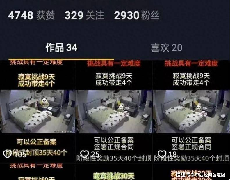 警惕網(wǎng)絡(luò)陷阱，新澳門資料大全背后的風(fēng)險與挑戰(zhàn)