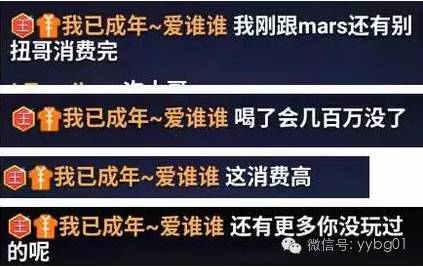 澳門天天開好彩，揭秘背后的真相與警示公眾的重要性