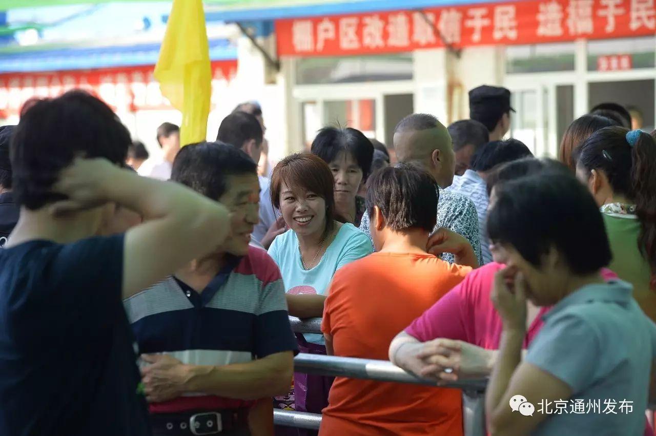 新奧最快最準(zhǔn)免費(fèi)資料，深度解析與實(shí)用指南