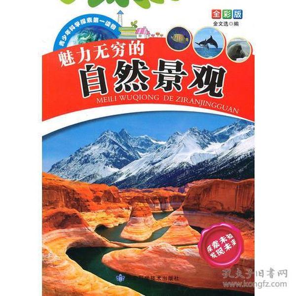 探索跑狗論壇版，777778與888888的魅力世界