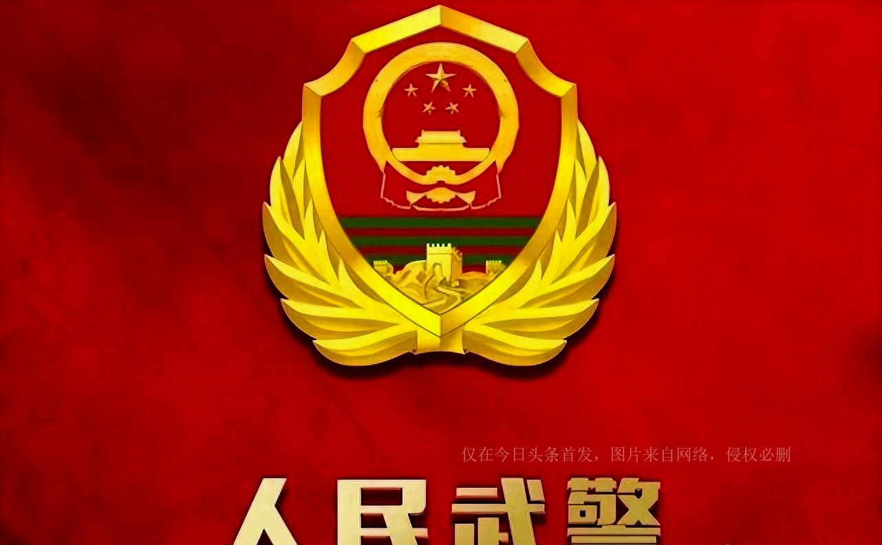 軍改軍銜設(shè)置最新動態(tài)，重塑軍事榮譽與職責體系