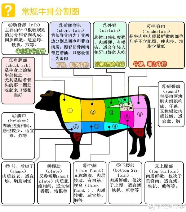 探索最新牛肉分割圖，專業(yè)解讀與實用指南
