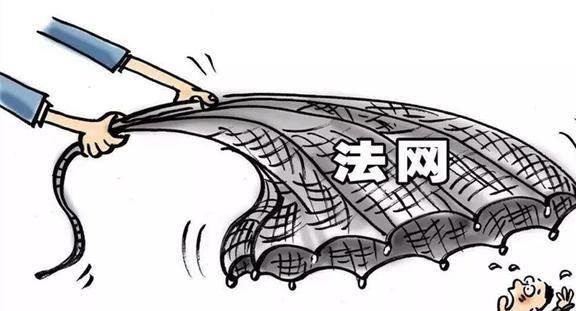 一肖一碼，揭秘背后的犯罪風(fēng)險與應(yīng)對之道（不少于1388字）