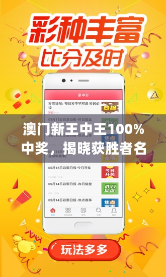 澳門王中王100%期期中——揭示背后的違法犯罪問題