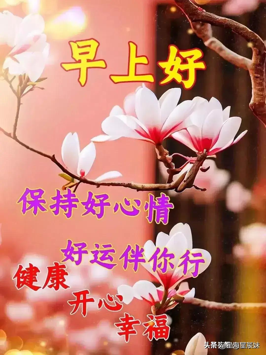 探索2024天天彩，全年免費(fèi)資料的深度解析