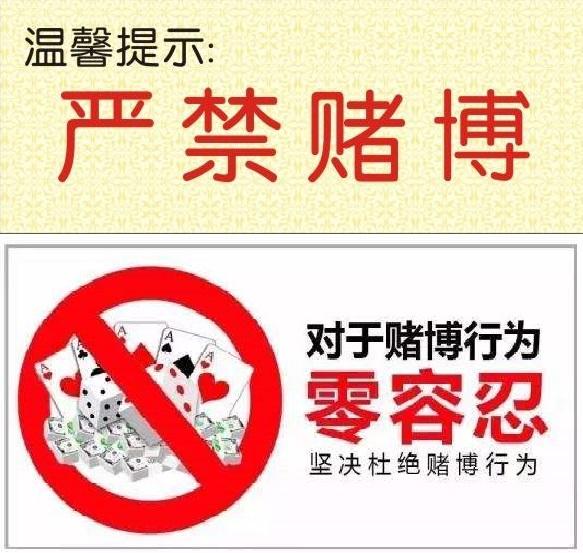澳門王中王100的準(zhǔn)資料，警惕犯罪風(fēng)險(xiǎn)，遠(yuǎn)離非法賭博