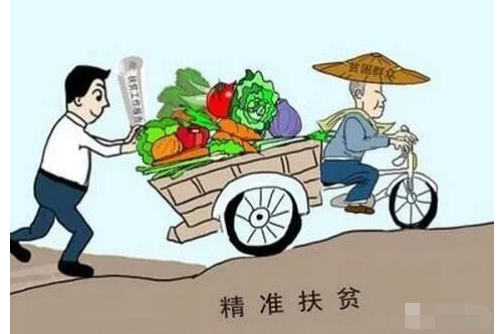 探索正版精準(zhǔn)跑狗圖，77777與88888的神秘魅力