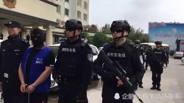 周華騙保案件最新結(jié)果，揭示案件細(xì)節(jié)與后續(xù)影響