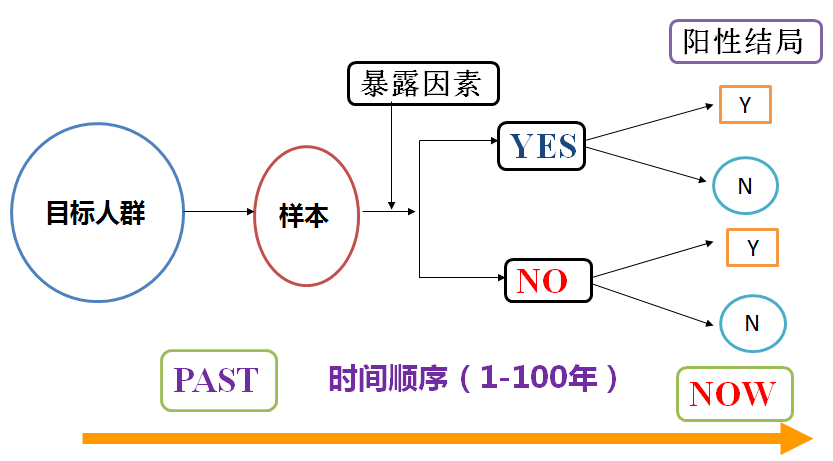 澳門天天開(kāi)好彩，回顧與反思