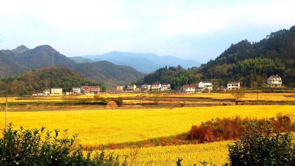 2025年舒城劃歸合肥的最新動態(tài)