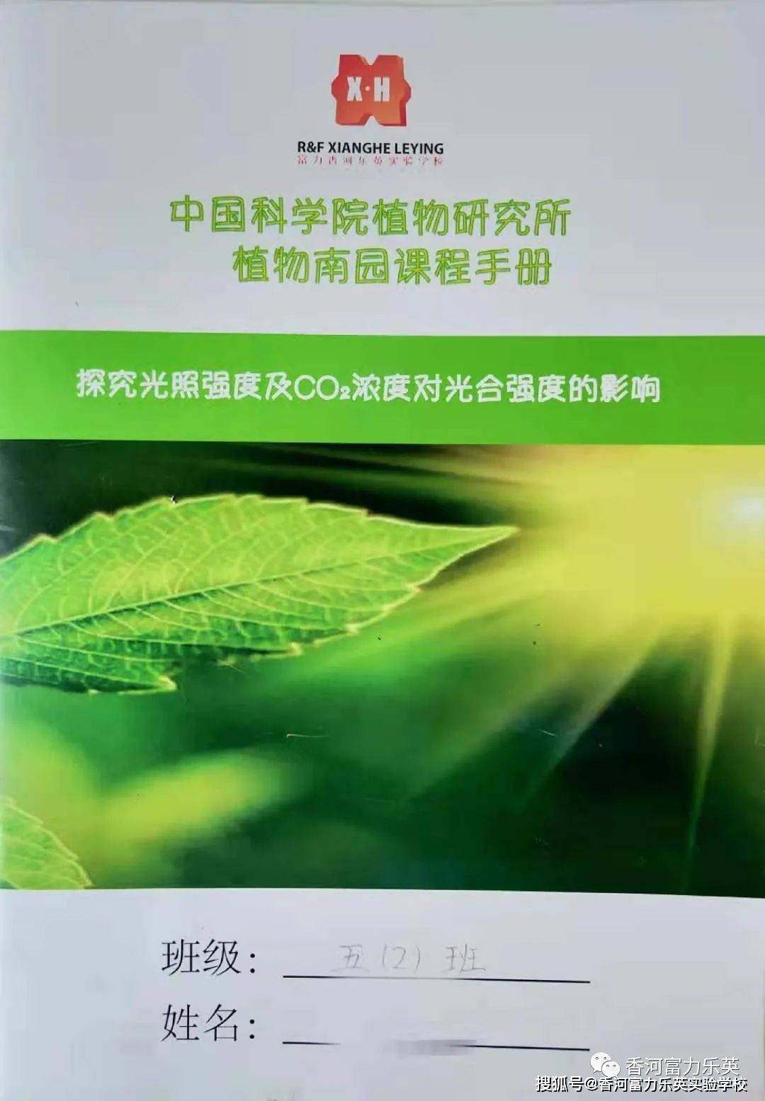 劉百溫精準(zhǔn)免費資料大全，探索與啟示