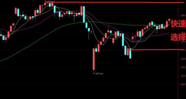 金麒麟股票最新消息全面解析