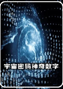 探索神秘?cái)?shù)字組合，62827與一肖一碼的故事