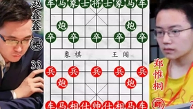 澳門天天開好彩背后的秘密與挑戰(zhàn)，一個深入探究