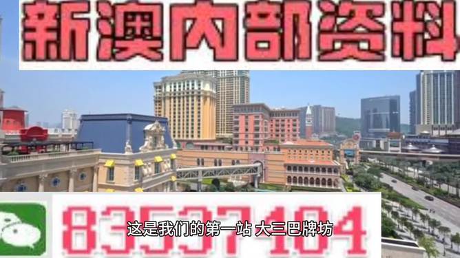 澳門正版免費(fèi)資料精準(zhǔn)大全，揭示背后的違法犯罪問題