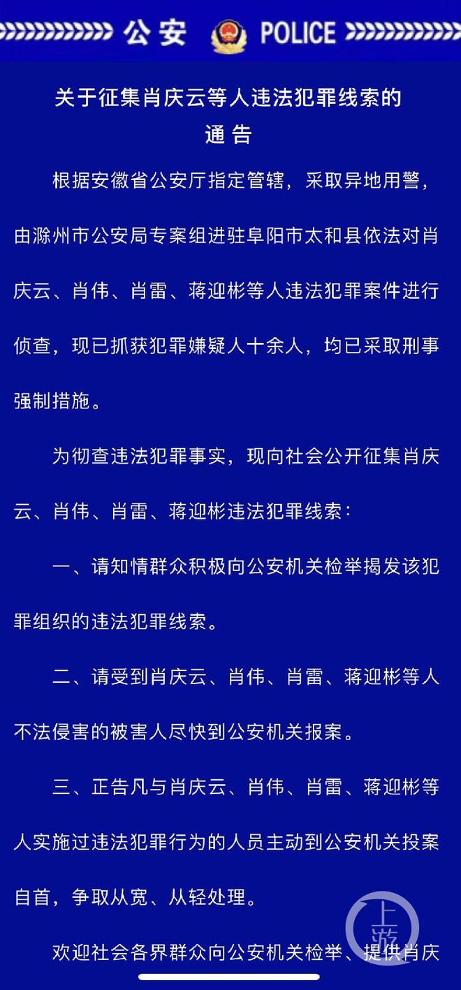 一肖一碼一一肖一子，揭示背后的違法犯罪問題