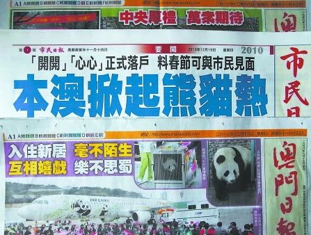 新澳門天天開好彩——探尋2004年的奧秘與魅力