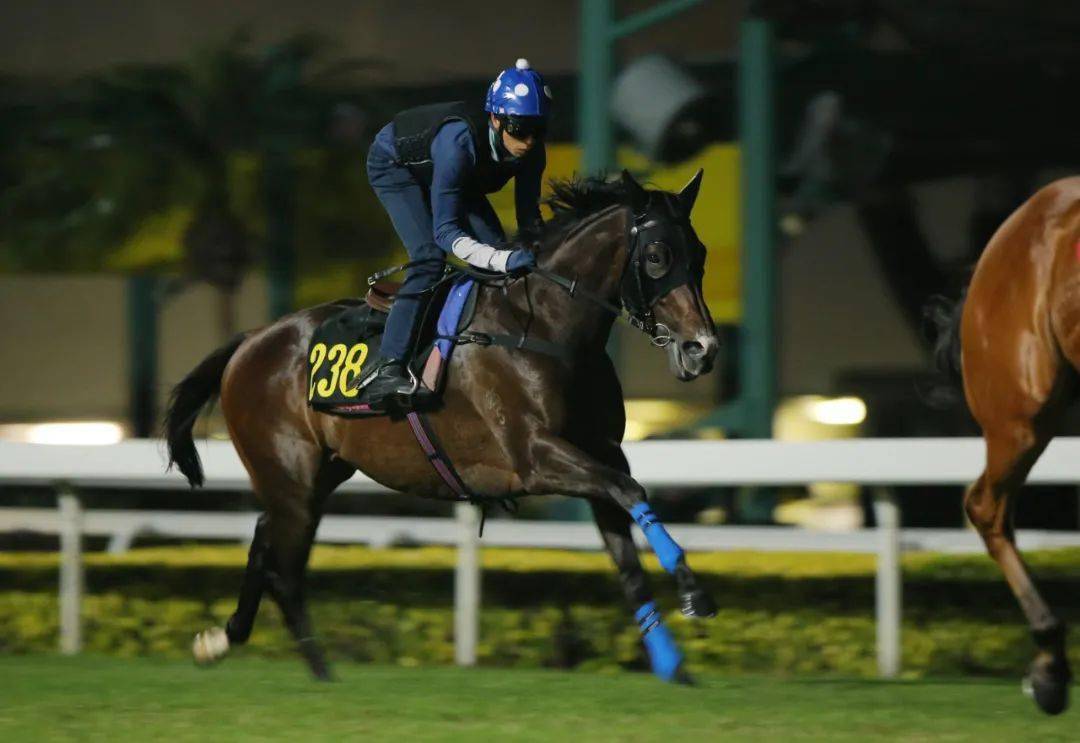 香港特馬資料王中王與違法犯罪問(wèn)題