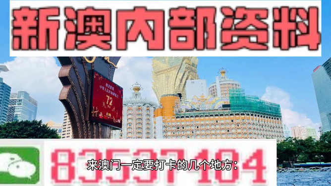 新澳門免費(fèi)資料大全在線查看，探索與理解