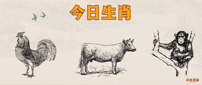 四不像正版資料2024年深度解析
