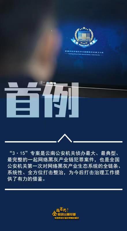 一肖一碼一中一特，揭示背后的違法犯罪問題