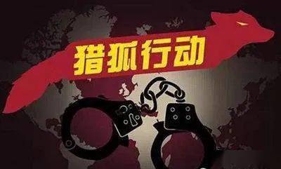 澳門王中王100期期準(zhǔn)與犯罪問題的探討