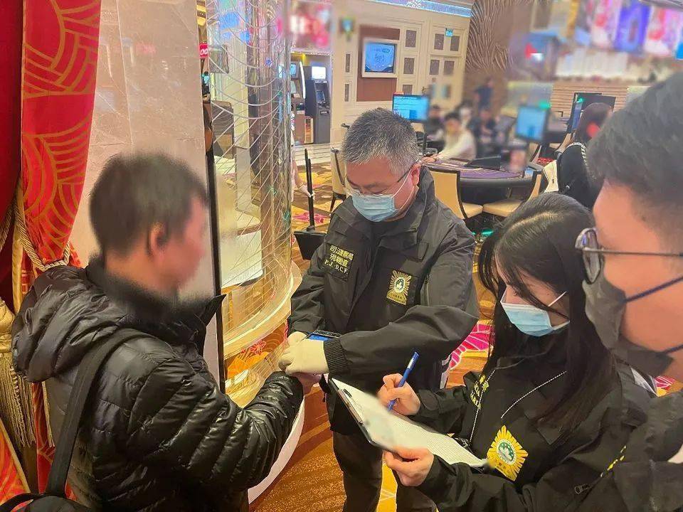 新2024年澳門天天開好彩背后的違法犯罪問題