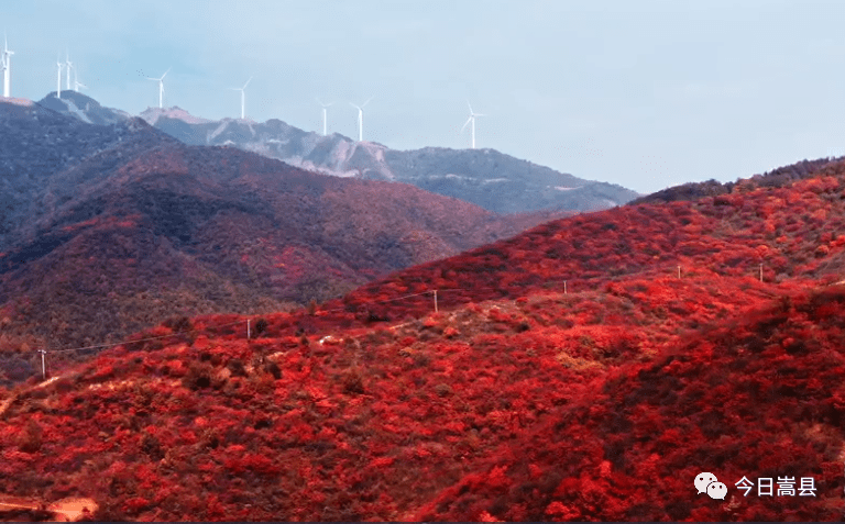 嵩縣吧最新消息常建松，探尋縣域發(fā)展的動(dòng)態(tài)與未來